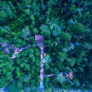 Humble Nest Coorg